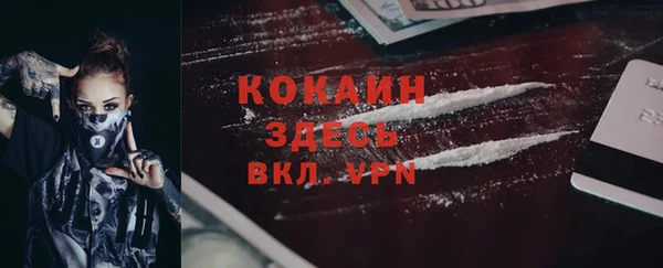 соль ск Кодинск