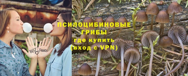 прущий лед Козловка