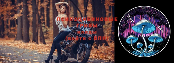 прущий лед Козловка