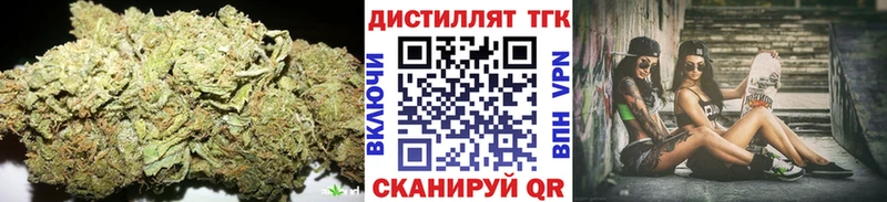 ТГК Wax  Рошаль 